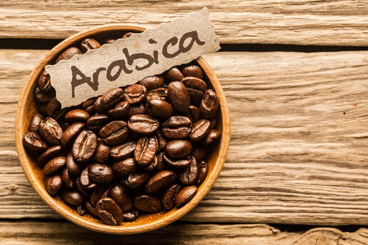 biji kopi Arabica