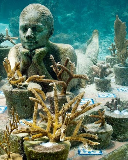 Fakta Menarik Museum Bersejarah yang Belum Anda Ketahui